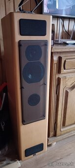 T+A criterion TB 100 - 5