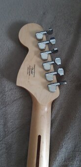 Squier Mustang - 5