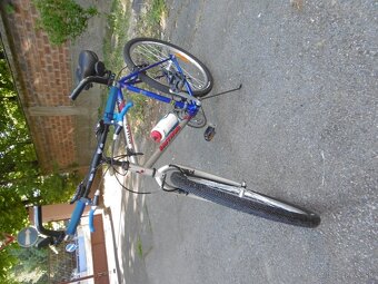 Bicykel Author Dallas - 5