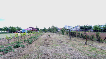 Rovinatý a slnečný pozemok v pokojnej obci Kašov - 5