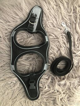 Chovateľské potreby pre psíka do 3 kg - 5