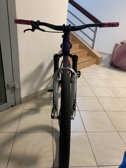 Ctm dirtking 2024 pro - 5
