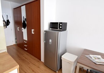 1 izbový byt, Bajkalská 45c, Novy Ružinov, dlhodobo, majitel - 5