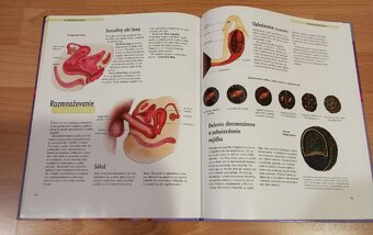 Zem, Ľudské telo Vedomosti v kocke NOVÉ - 5