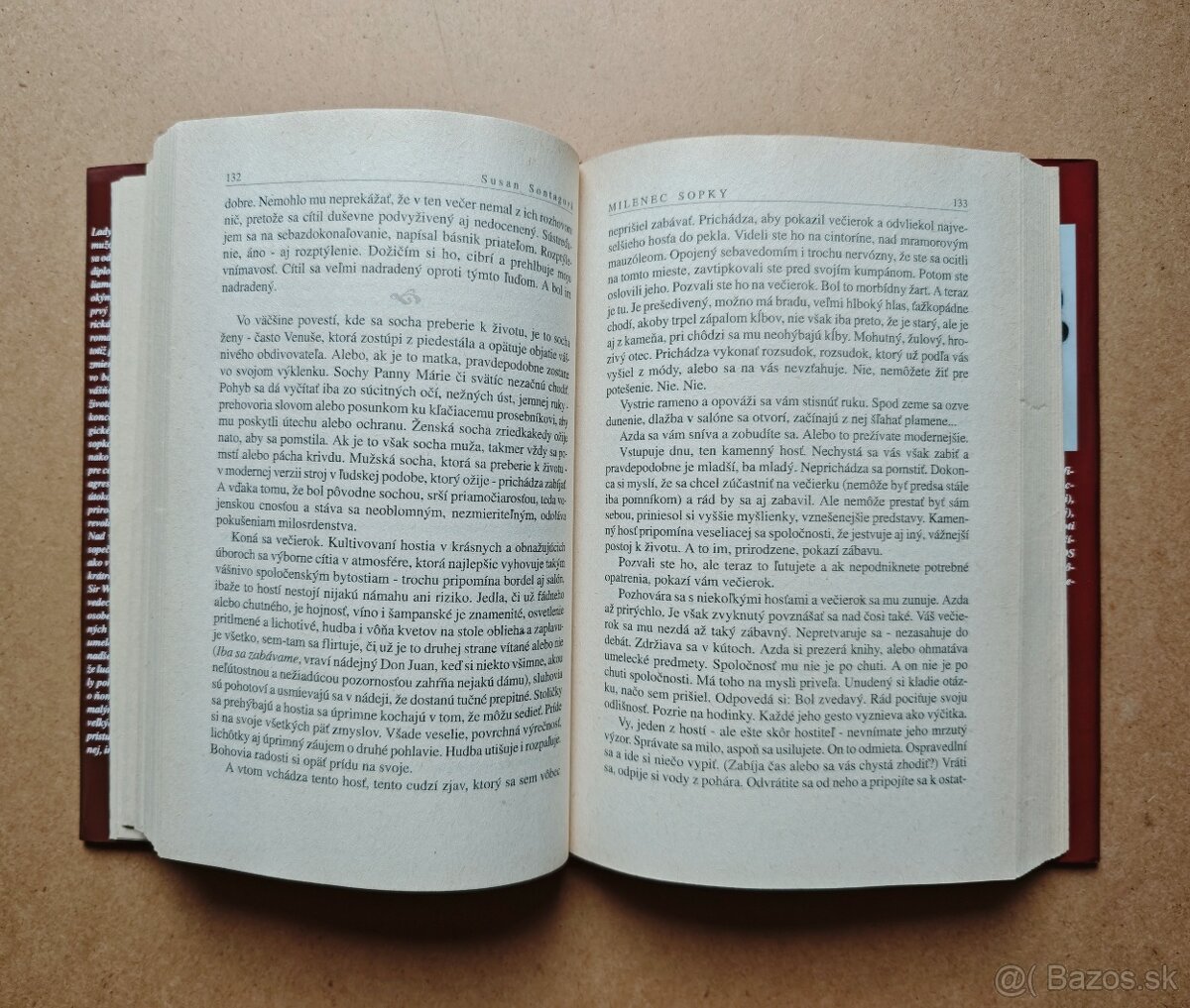 Susan Sontagová: MILENEC SOPKY - 6