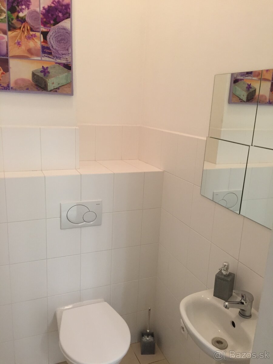 Prenajom nebytovych priestorov - 6