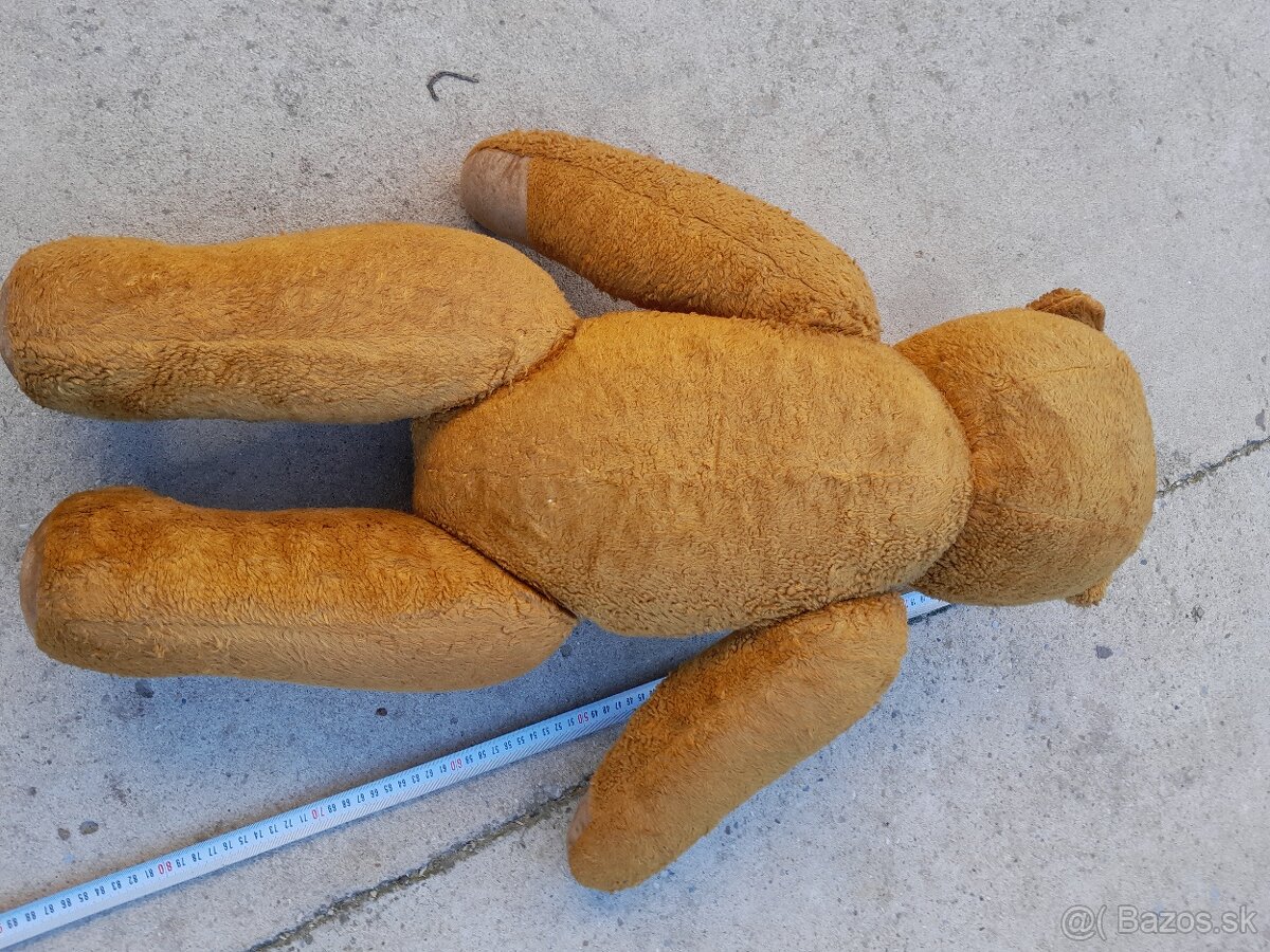 Predám 70 ročného medveďa - 6