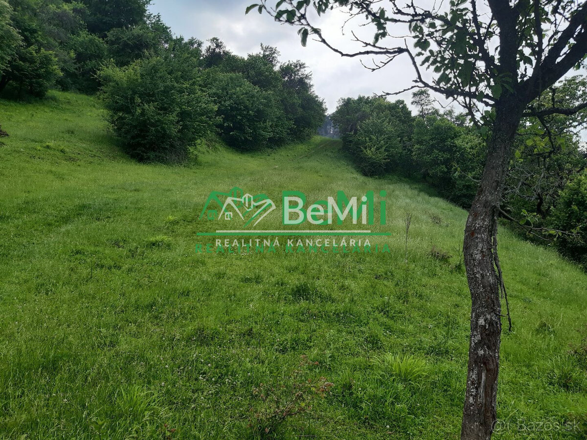 Predaj, pozemky, obec Paština Závada, Žilina (066-14-BOC) - 6