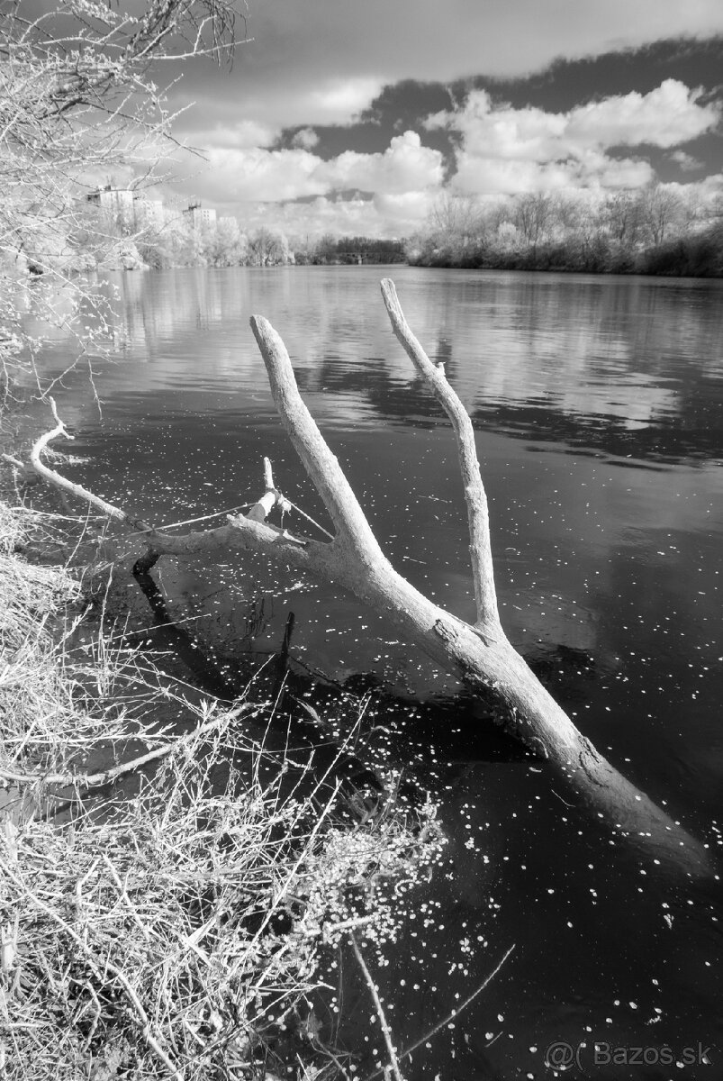 Nikon D80 infra IR720nm - 6