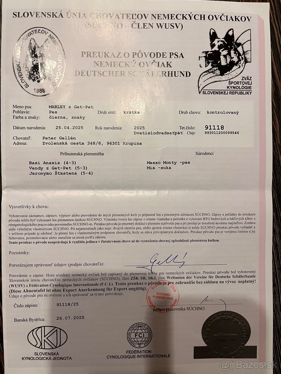 Nemecký ovčiak - 6