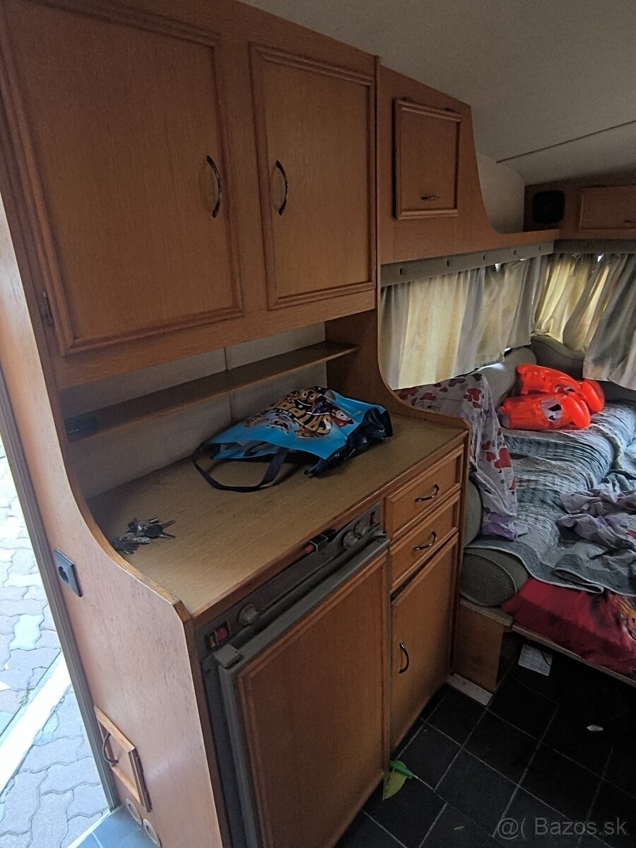 Castlton HL Rosella - 6