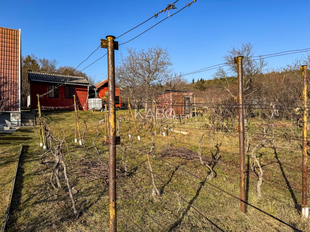 Krásna vinica pri Nitre - 895 m2 - 6