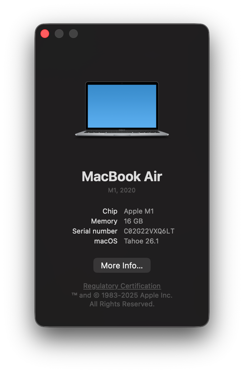 Apple MacBook Air M1 CTO 16 GB 512 GB - 6