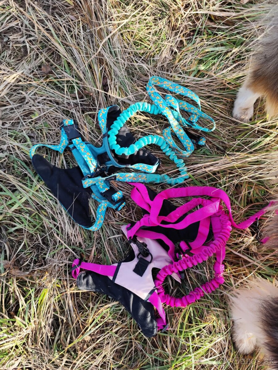 🛡️ Originálne handmade postroje a vodítka pre psov 🐾 - 6