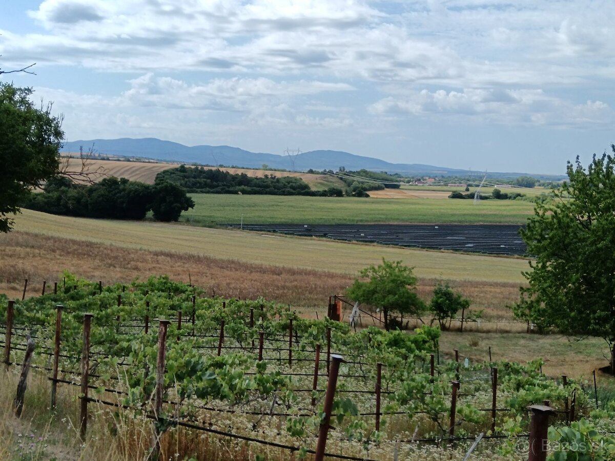 Rodinný dom s velkým pozemkov v blízkosti kupelov Dudince - 6