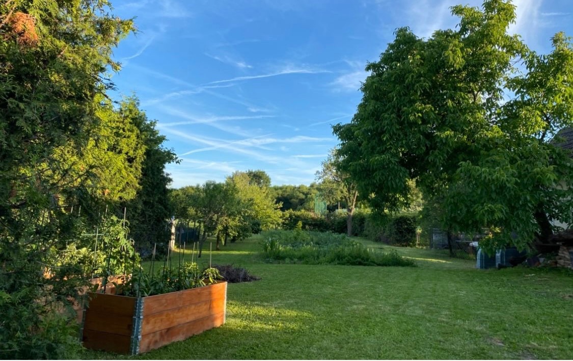 Na predaj 3 izbový rodinný dom s krásnym pozemkom - 6