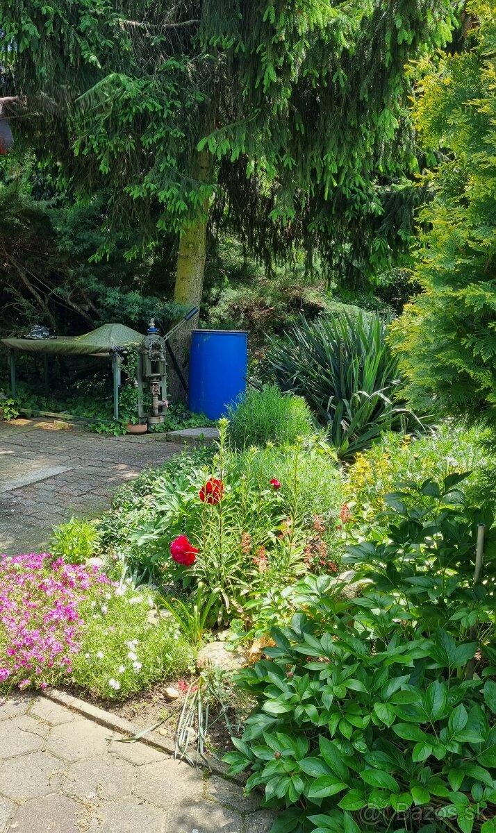 8 árový pozemok s chatou. - 6