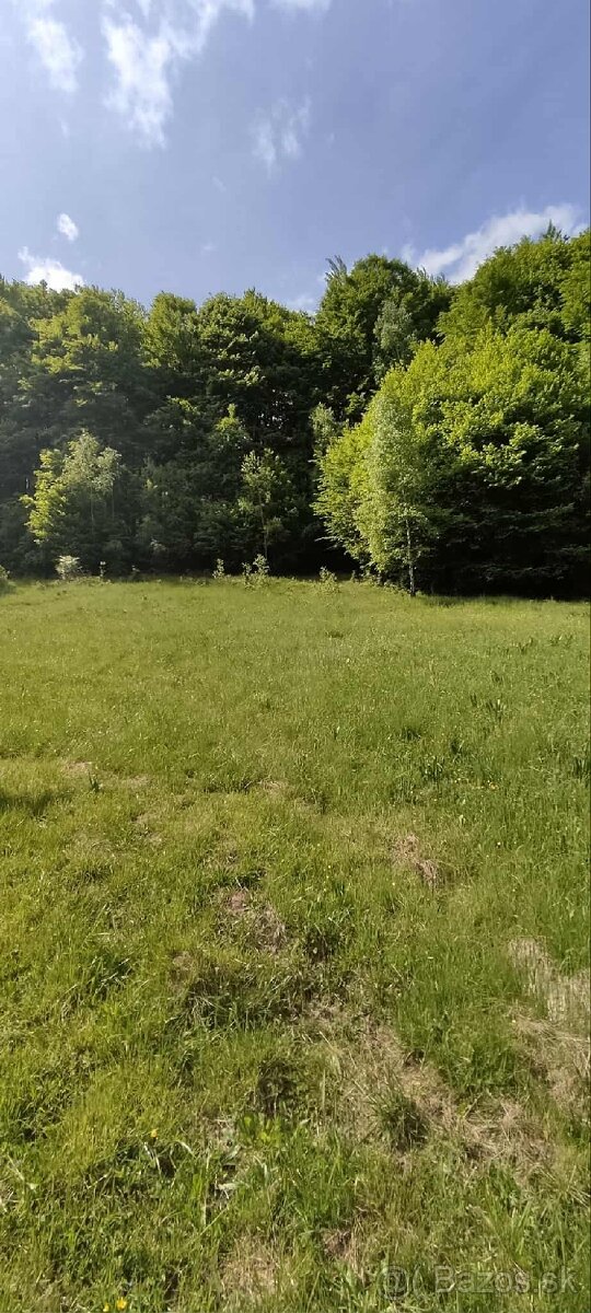 Predám stavebný pozemok vo Veľkom Rovnom - DOHODA MOŽNÁ - 6