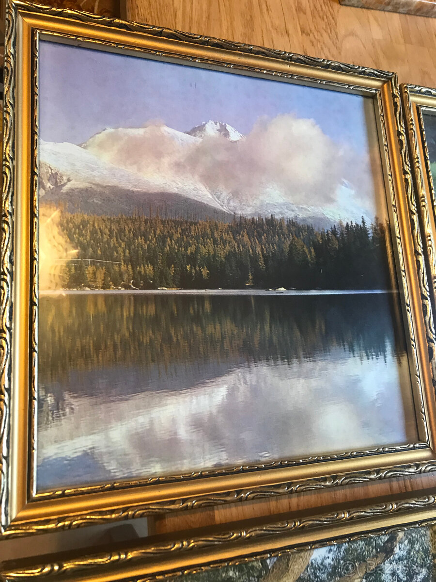 Predam zaramovane obrazy - 6