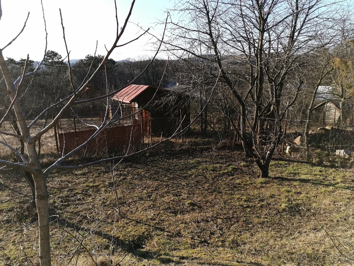 Čermeľ - záhrada s chatou na predaj - 6