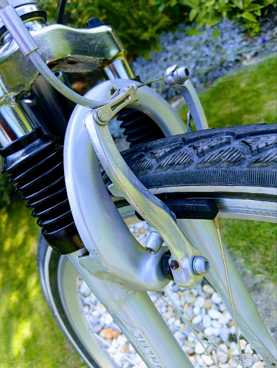 Bicykel Phill Roggers - 6