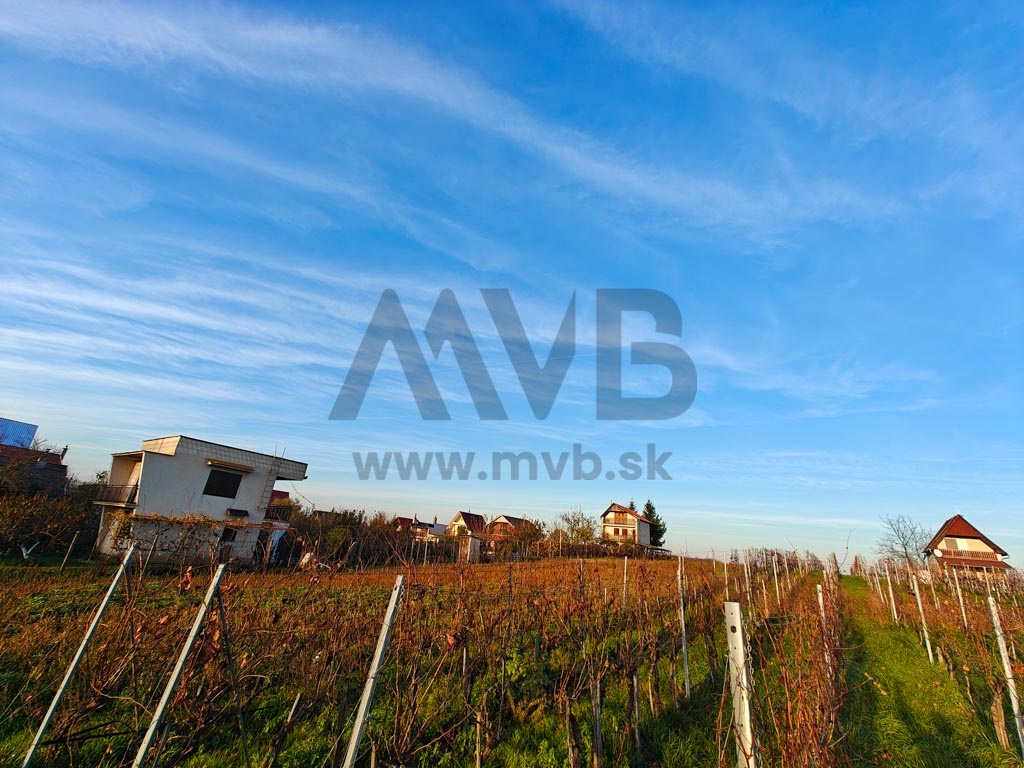 ROZĽAHLÝ POZEMOK S ROZLOHOU VIAC AKO 30 ÁROV | OKRES KOMÁRNO - 6