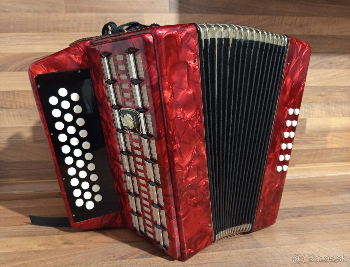 Akordeon, harmonika, heligonka - 6