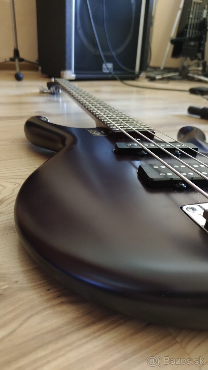 Basgitarista Meg - 6