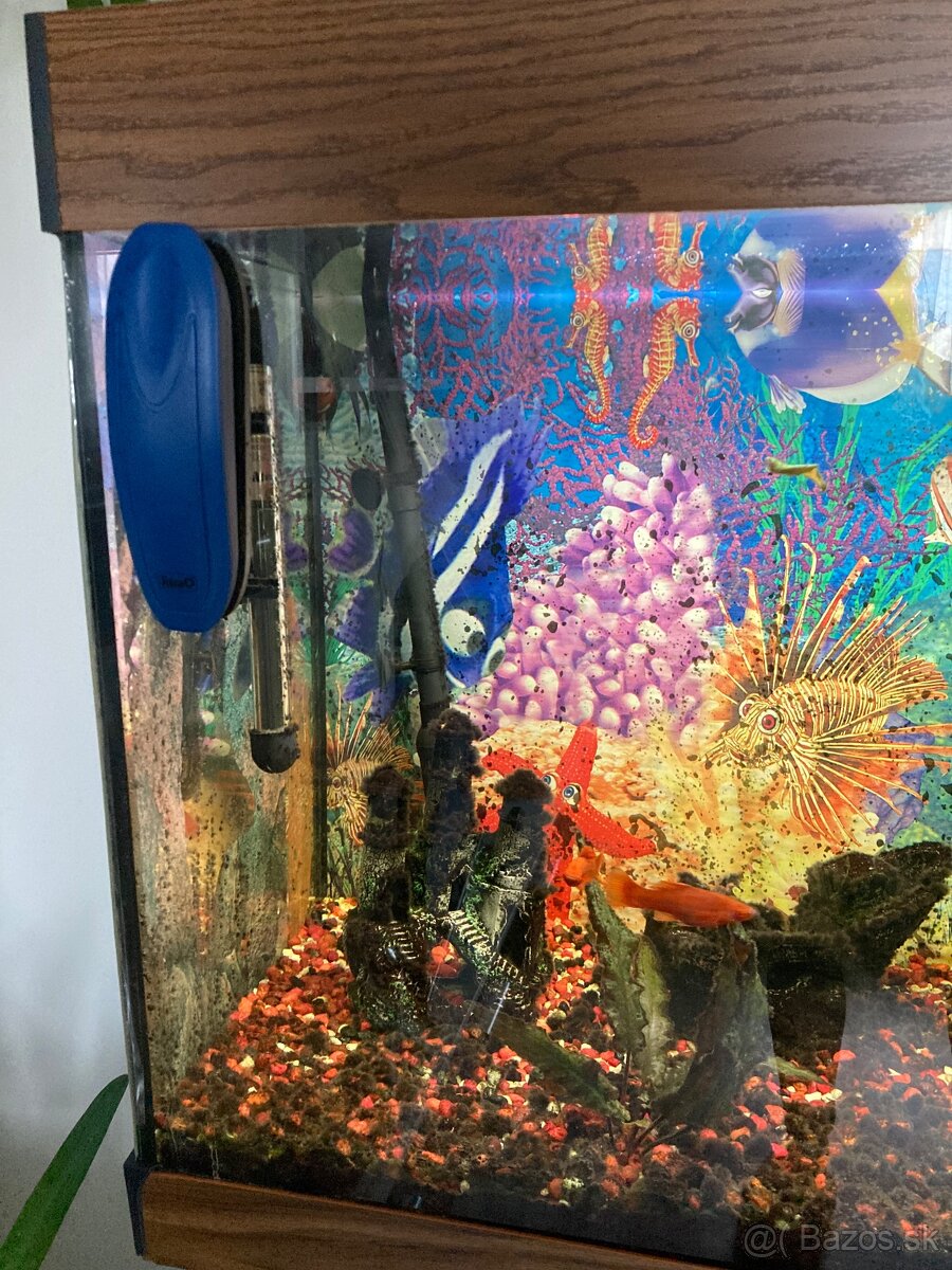 Akvarium komplet so skrinkou a prislusenstvom - 6