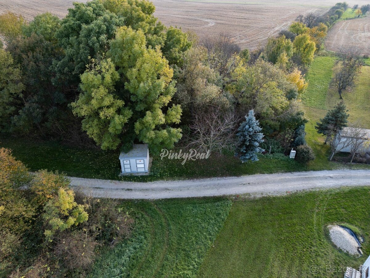 Pinky Real - Investičný pozemok v obci Boleráz - 6