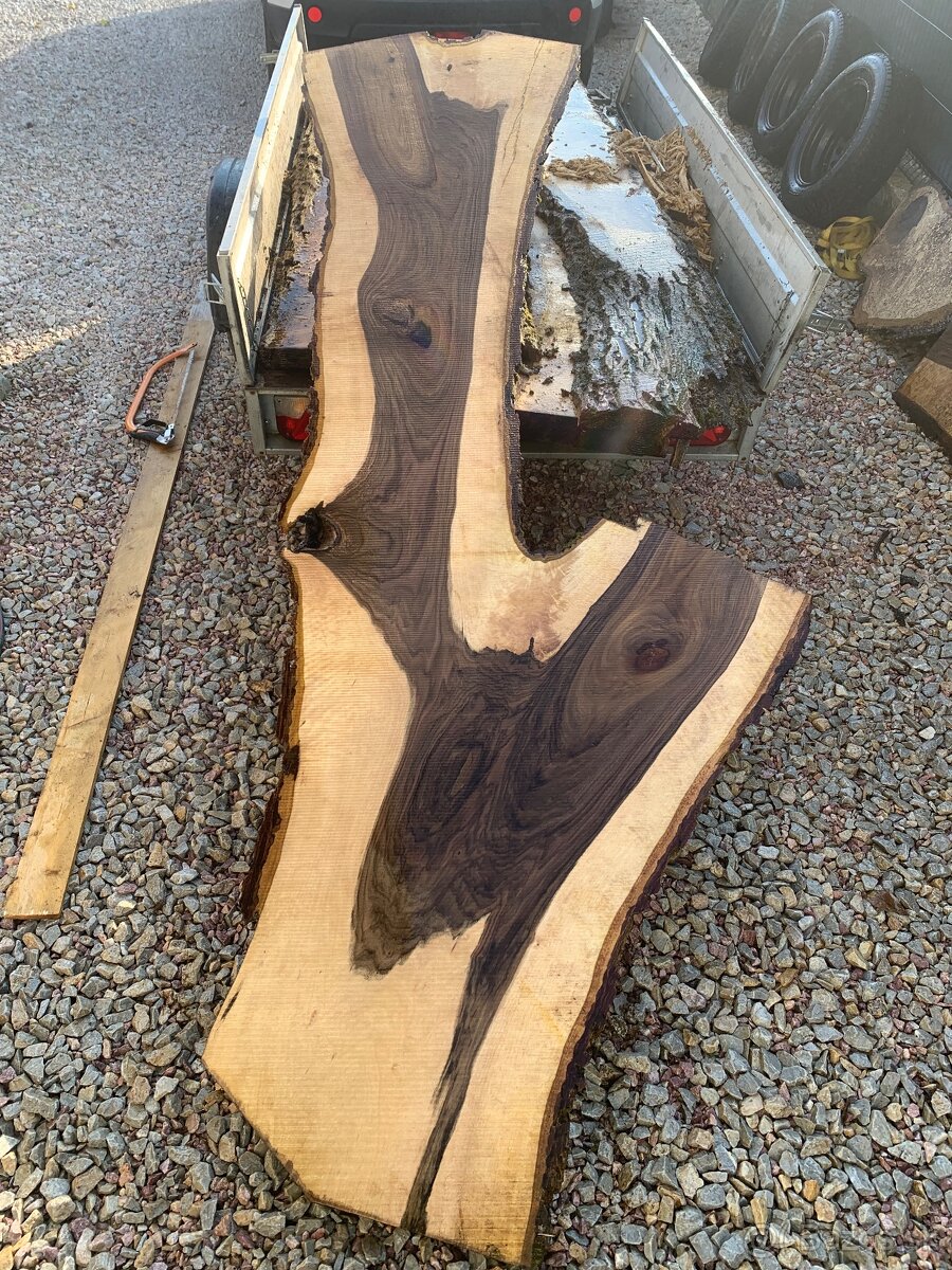 Orechove forsne z krásnou kresbou - 6