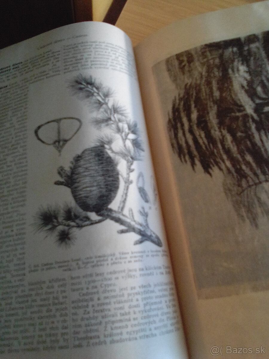 Originál Ottuv Slovník naučný - V 1892 - 6