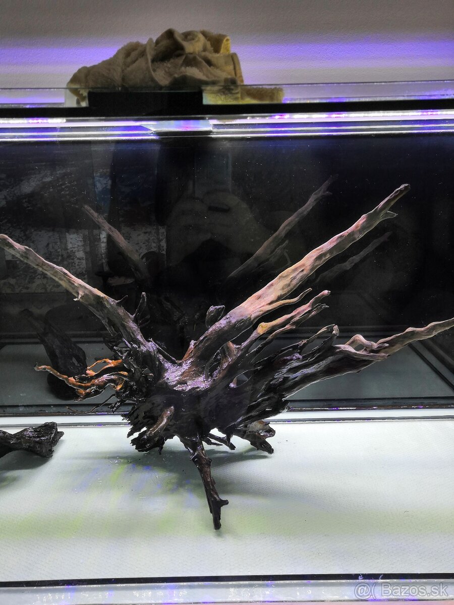 Akvárium - 6