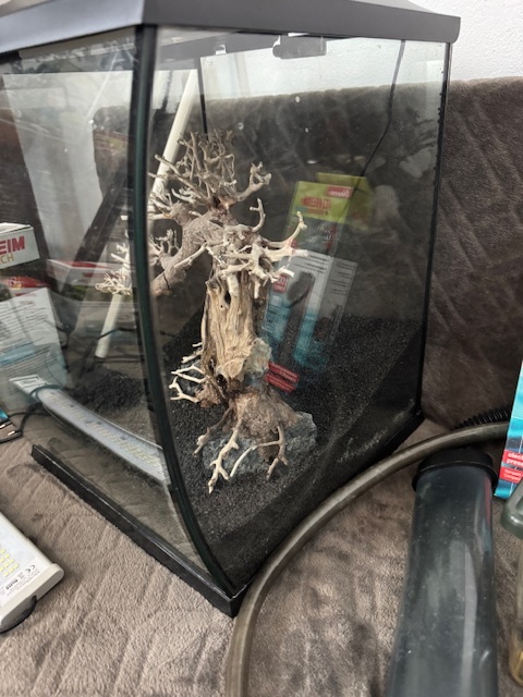 Invital akváriou 40 l - 6