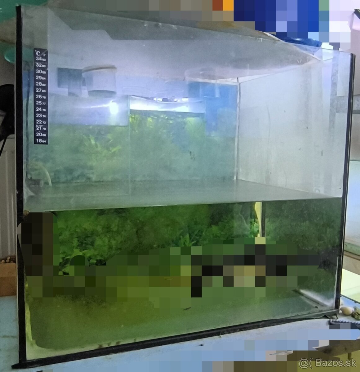 Akvarium - 6