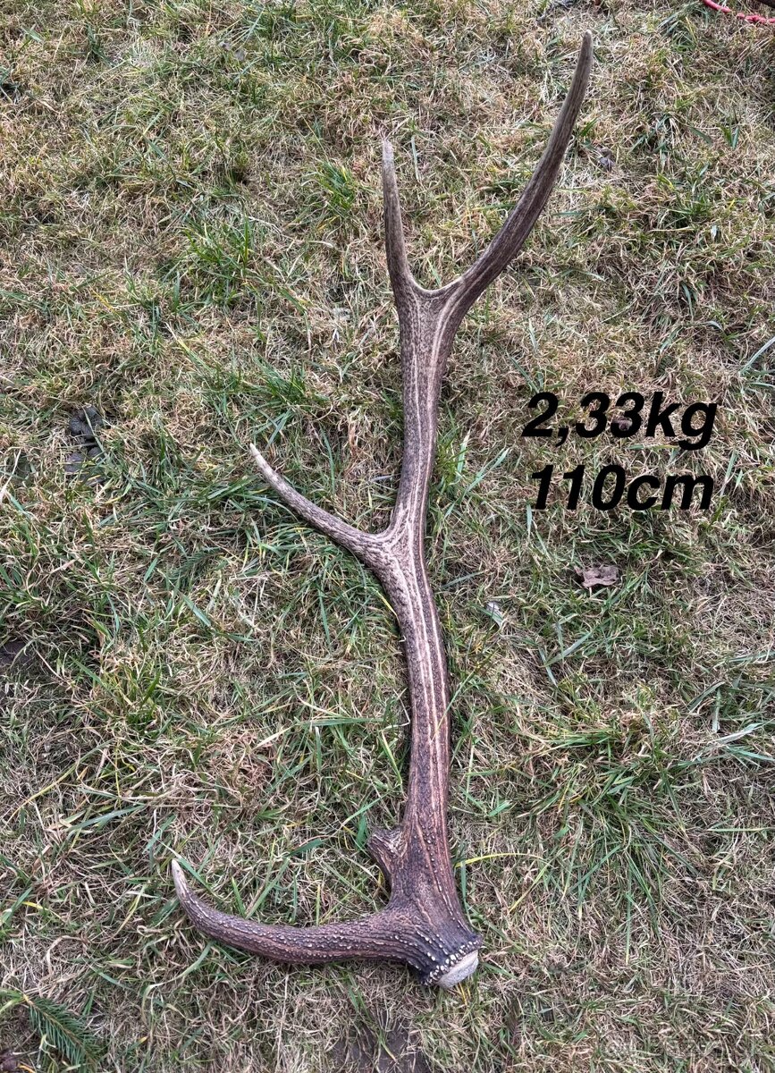 Parohy,parožie,zhody - 6