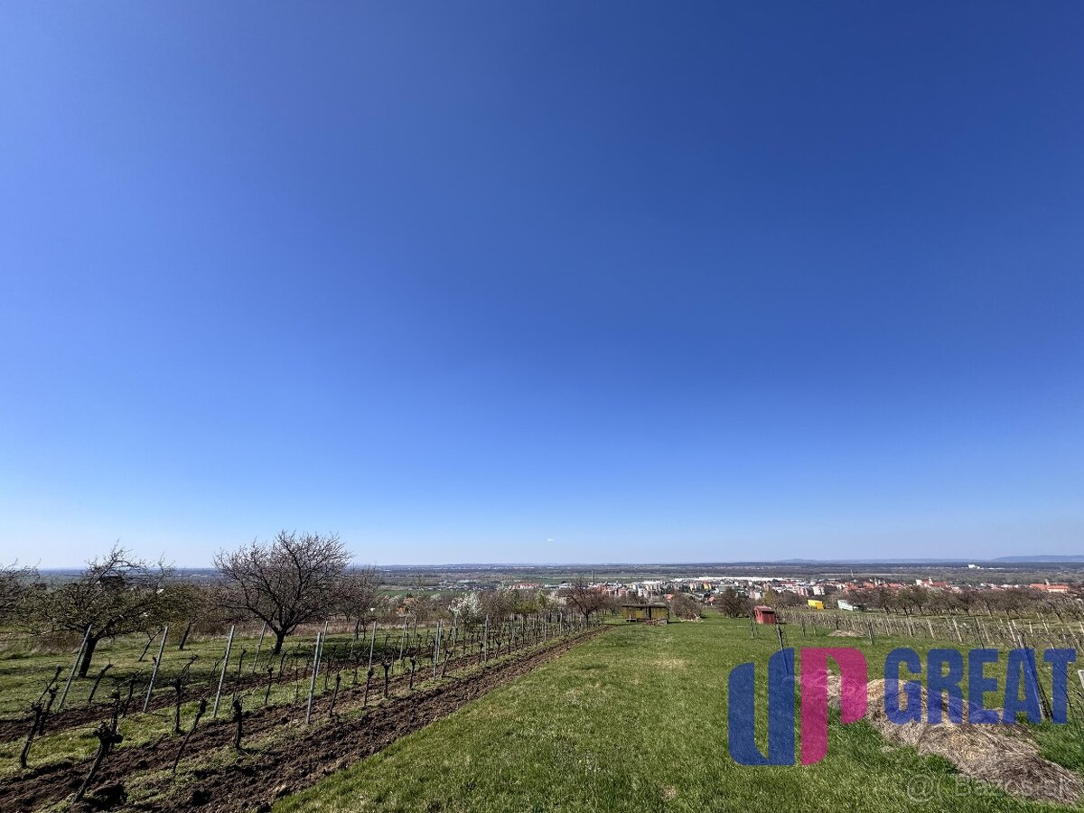 Pozemok s nádherným výhľadom na Skalicu–vinohrad so sklepom - 6