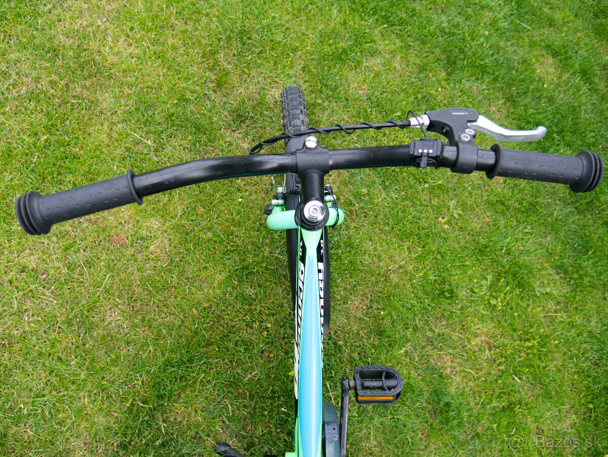 Detský bicykel CTM 1.0 - 6