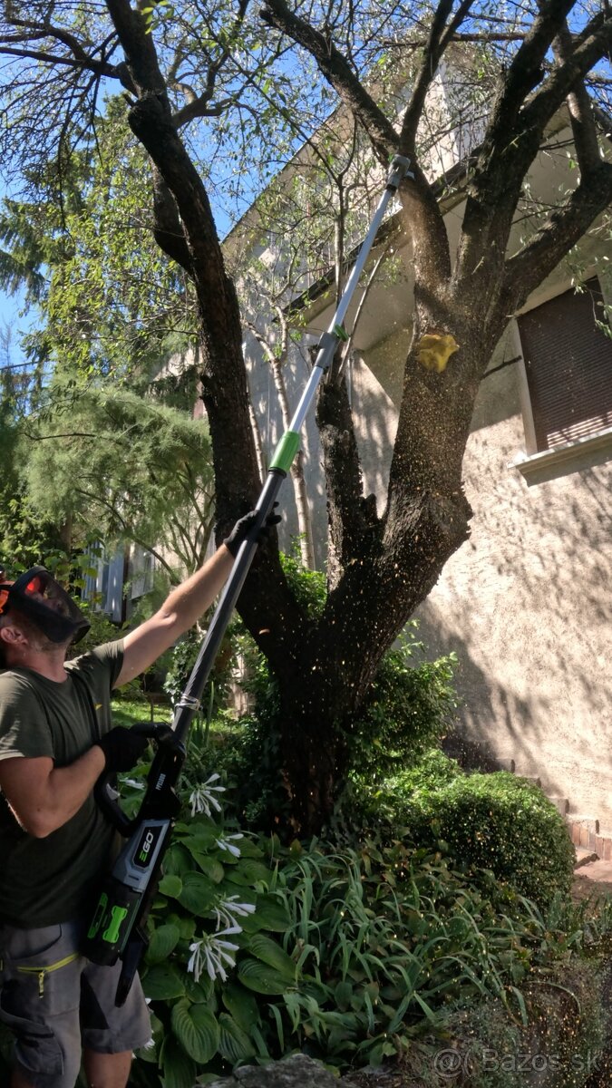 🌿 Profesionálne zimné záhradnícke služby🌿 Záhradník - 6