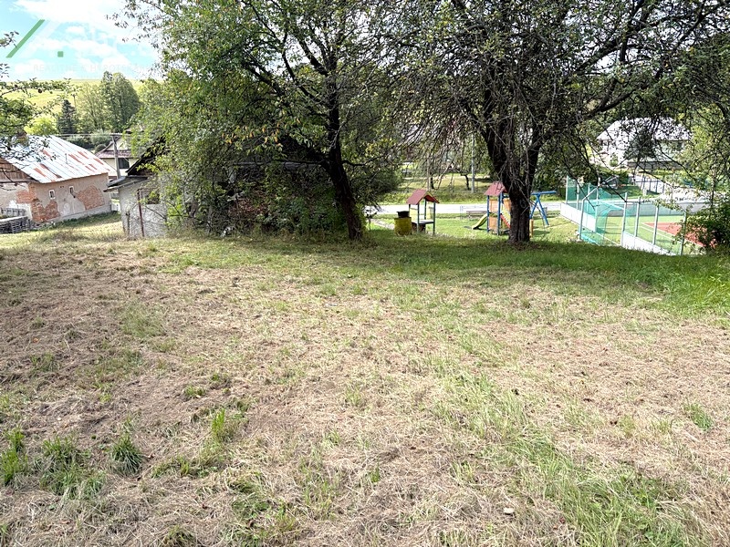 Fotografia 6