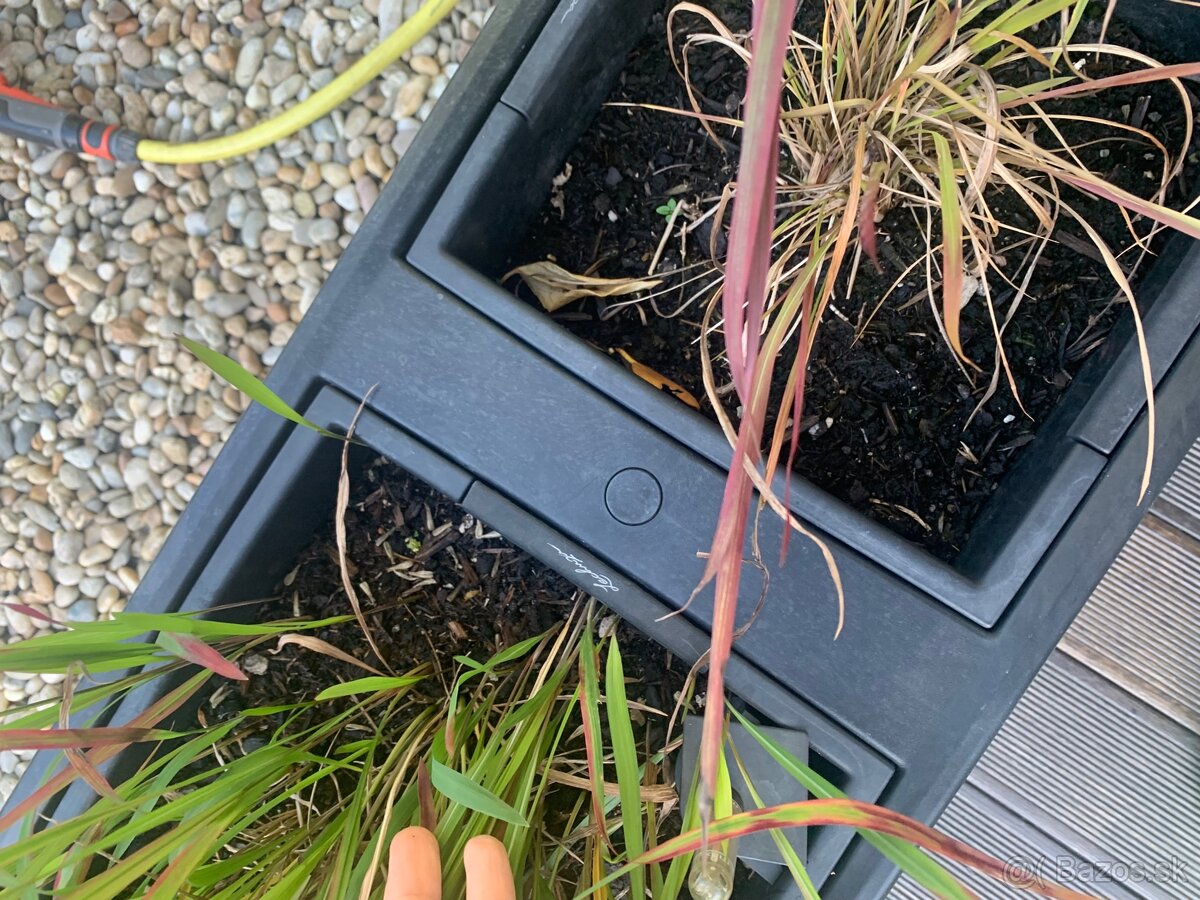 truhlík Lechuza trio cottage - 6