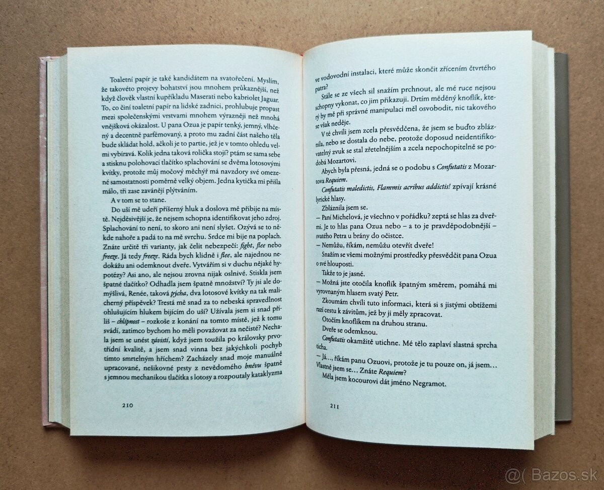 Muriel Barbery: S ELEGANCÍ JEŽKA - 6