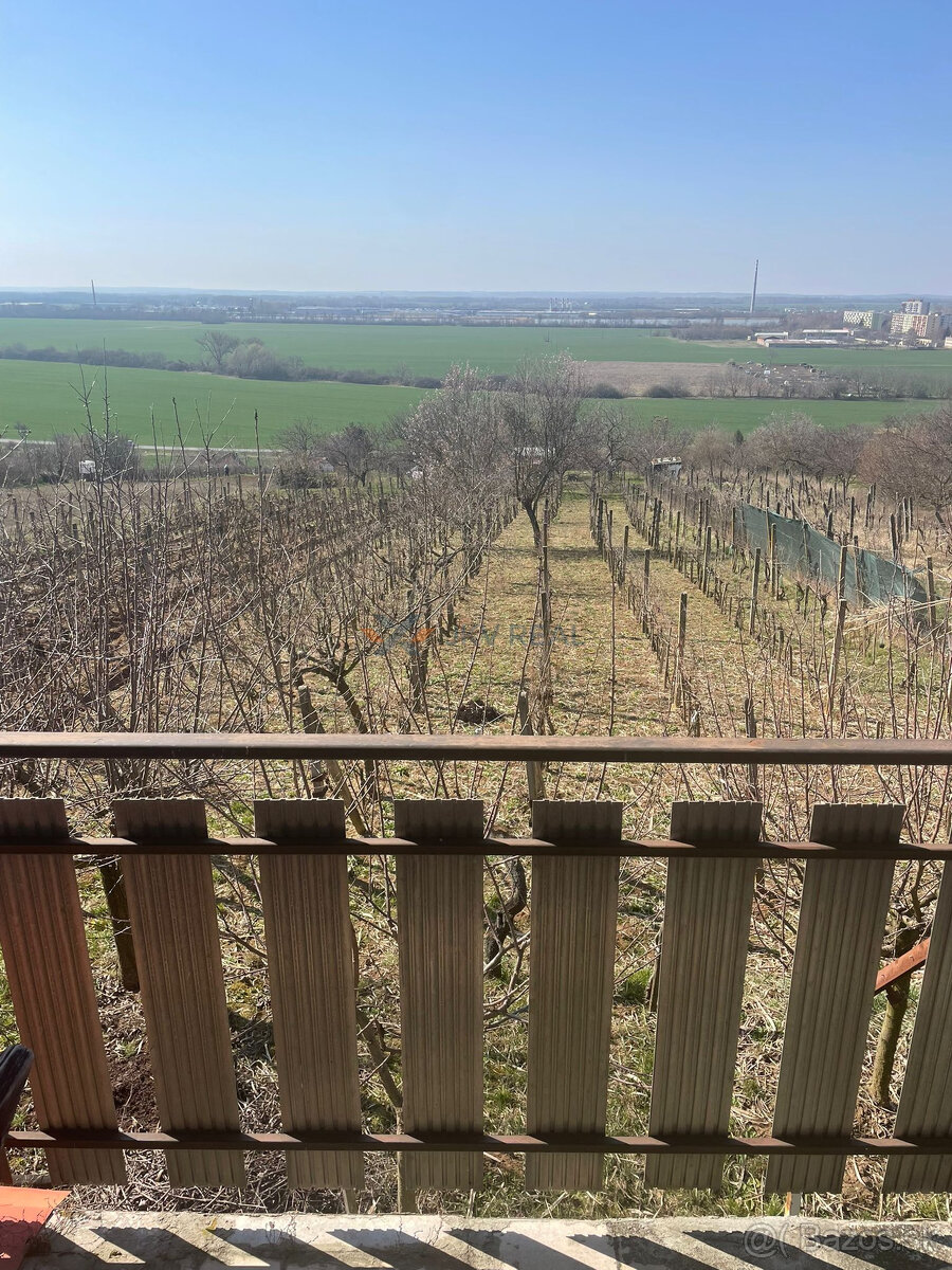 Viničný dom v Leviciach - 6