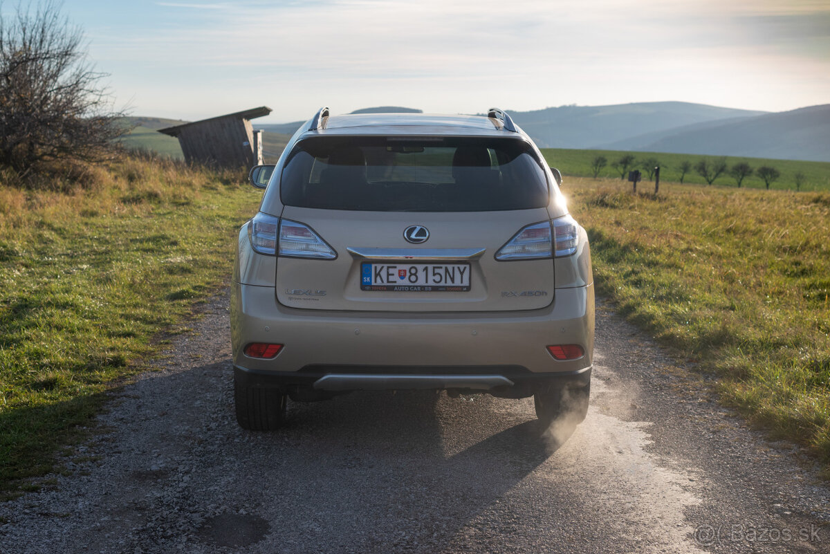 Lexus RX 450h Hybrid - 6