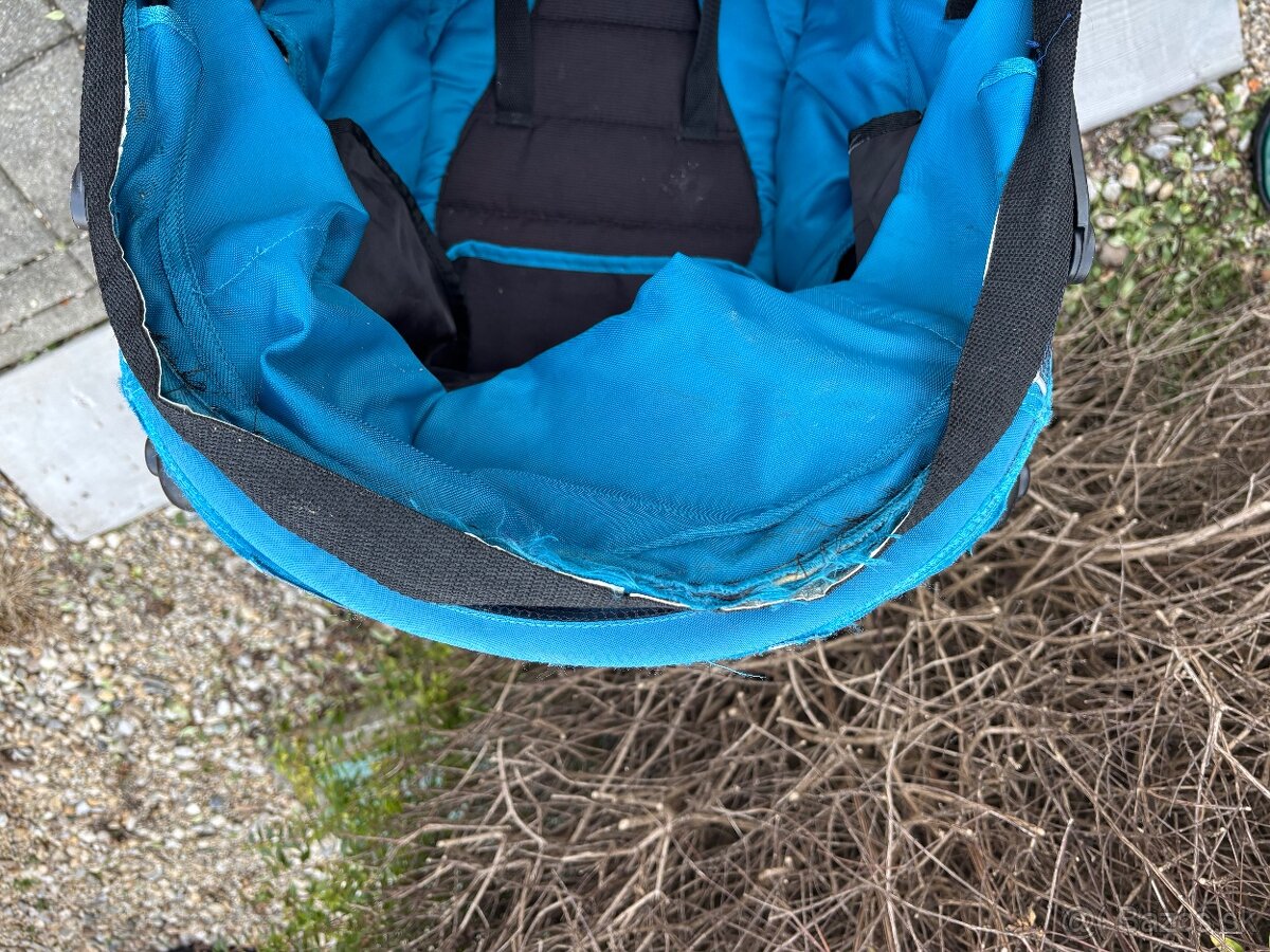 Darujem sportovy kocik - 6