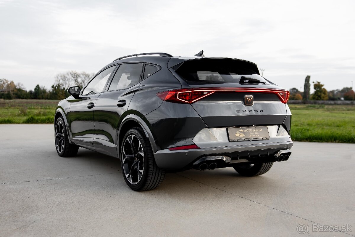 Cupra Formentor VZ 2.0TSI 4Drive 310K - 6