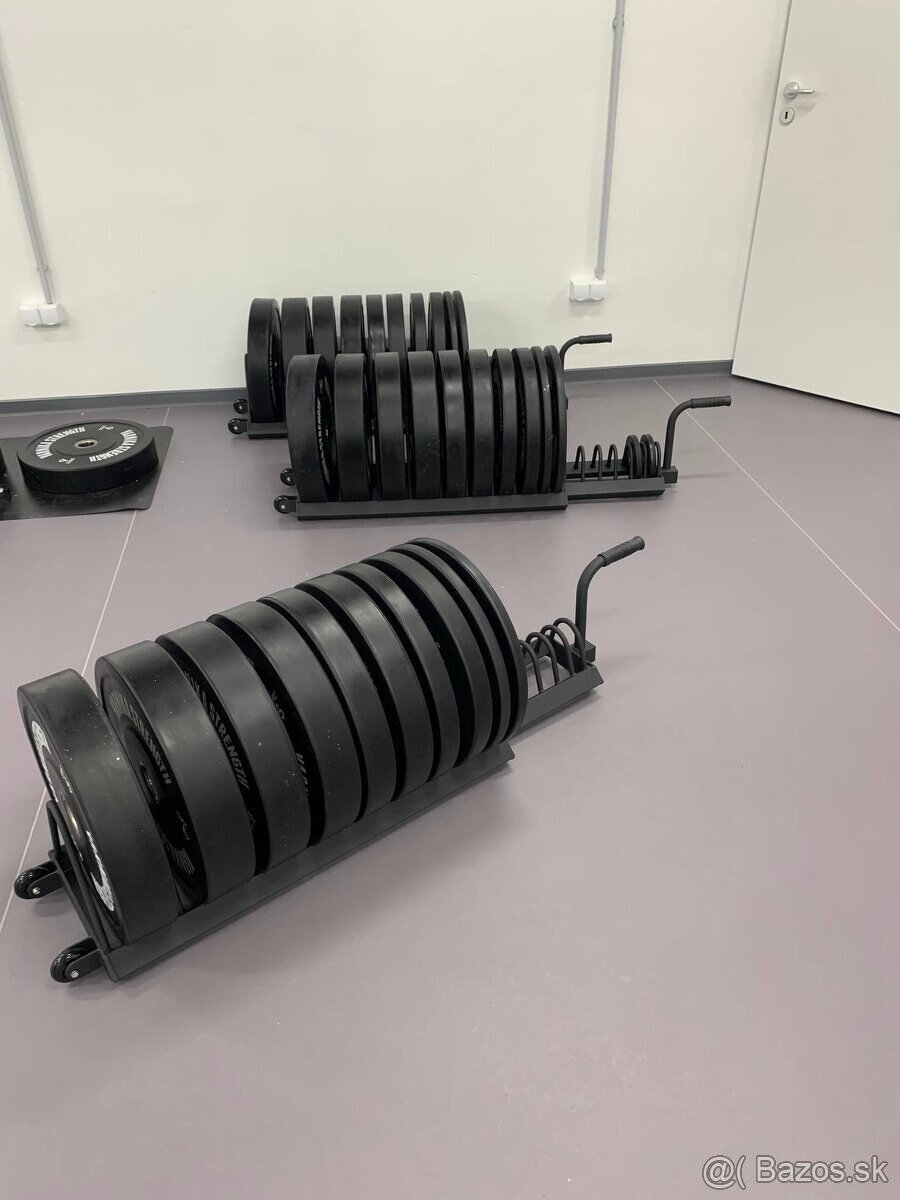 BUMPERY VARNIKA STRENGTH - 6