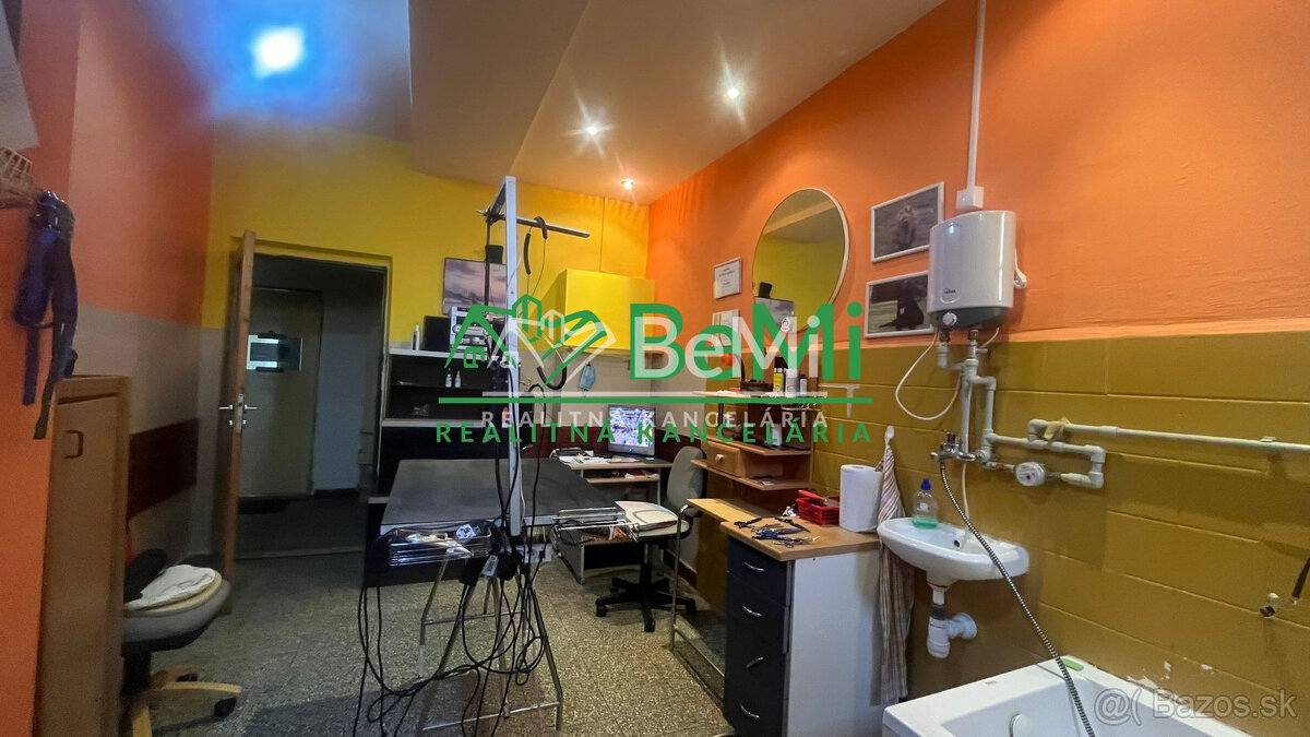 Odstúpenie - salónik - strihanie psíkov Sásová,Banská Bystri - 6