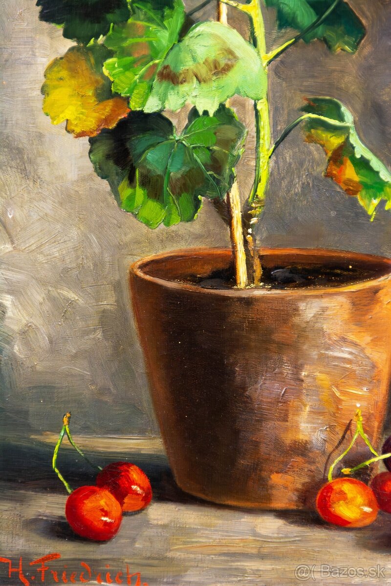 Zátišie s muškátmi, H.Friedrich, 375 × 615 mm - 6