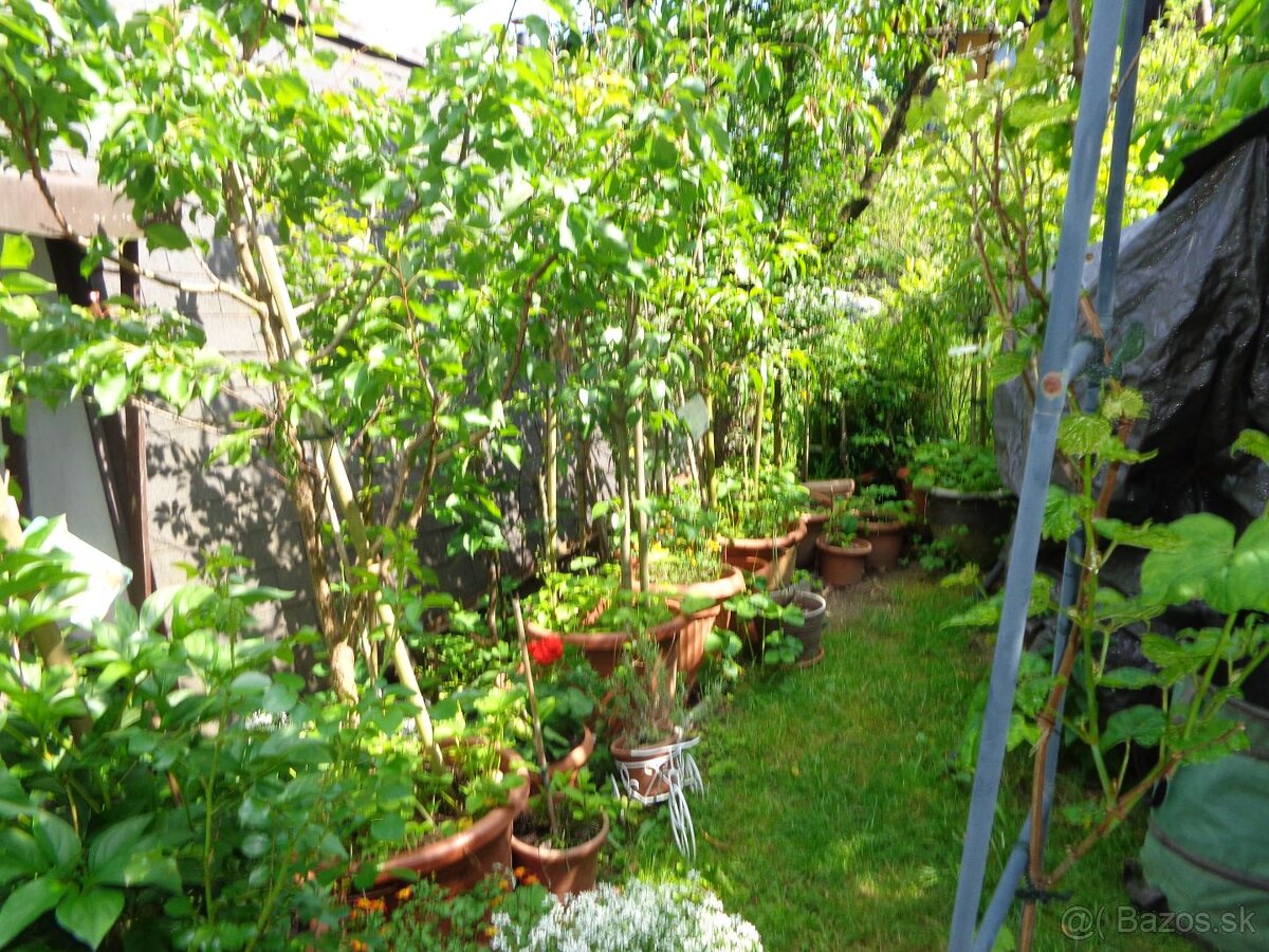 Na predaj pozemok - záhrada, 290 m2, Banská Bystrica - 6
